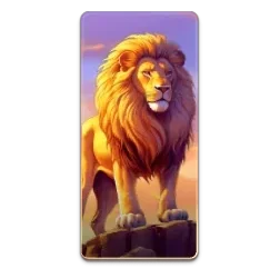 Lion
Safari
